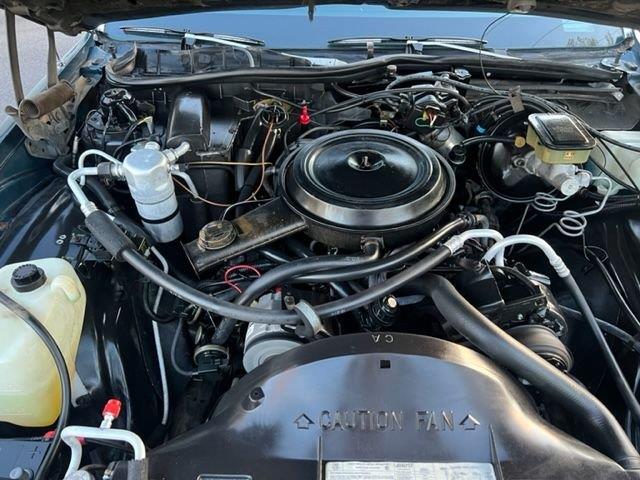1985 Pontiac Parisienne (CC-1583855) for sale in Youngville, North Carolina