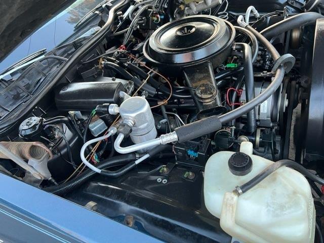 1985 Pontiac Parisienne (CC-1583855) for sale in Youngville, North Carolina