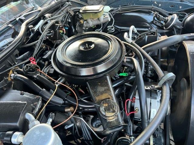 1985 Pontiac Parisienne (CC-1583855) for sale in Youngville, North Carolina
