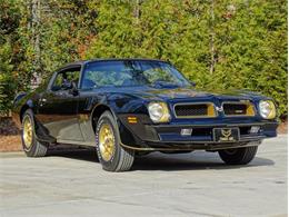 1976 Pontiac Firebird Trans Am (CC-1583902) for sale in Youngville, North Carolina