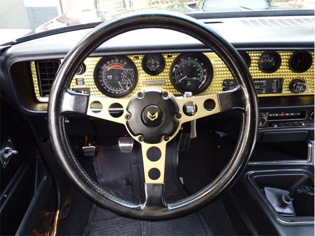 1976 Pontiac Firebird Trans Am for Sale | ClassicCars.com | CC-1583902