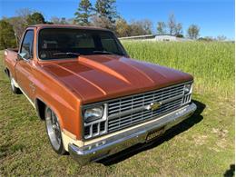 1981 Chevrolet C10 (CC-1583936) for sale in Youngville, North Carolina