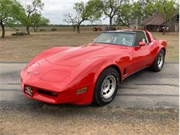 1980 Chevrolet Corvette (CC-1584155) for sale in Fredericksburg, Texas