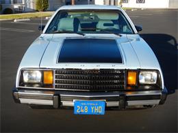1979 Ford Pinto (CC-1580438) for sale in Woodland Hills, United States