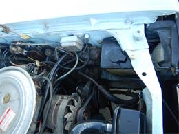 1979 Ford Pinto (CC-1580438) for sale in Woodland Hills, United States