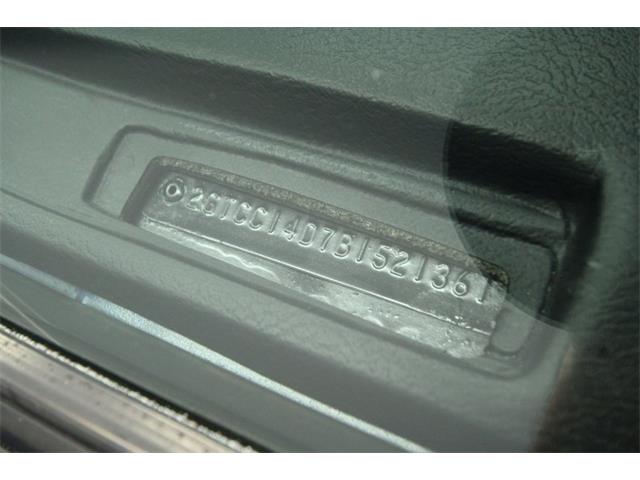 1981 GMC Sierra (CC-1584991) for sale in Lutz, Florida