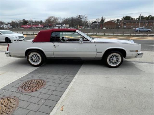 1984 Cadillac Eldorado (CC-1585022) for sale in Cadillac, Michigan