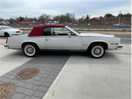 1984 Cadillac Eldorado (CC-1585022) for sale in Cadillac, Michigan