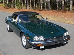 1991 Jaguar XJS (CC-1585045) for sale in Youngville, North Carolina