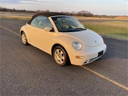 2003 Volkswagen Beetle (CC-1585607) for sale in DELRAN, New Jersey