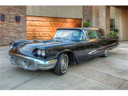 1959 Ford Thunderbird (CC-1585703) for sale in Cadillac, Michigan