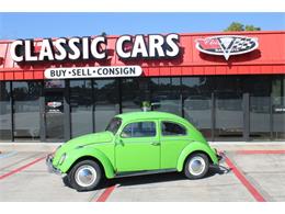 1964 Volkswagen Beetle (CC-1580603) for sale in Sarasota, Florida