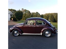 1967 Volkswagen Beetle (CC-1586103) for sale in Mount Sidney, Virginia