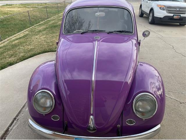 1966 Volkswagen Beetle (CC-1586159) for sale in Cadillac, Michigan