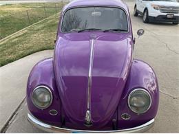 1966 Volkswagen Beetle (CC-1586159) for sale in Cadillac, Michigan