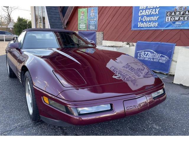 1993 Chevrolet Corvette (CC-1586355) for sale in Woodbury, New Jersey
