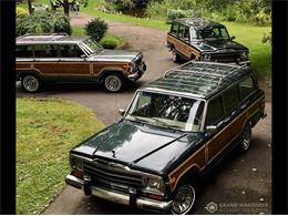 1991 Jeep Grand Wagoneer (CC-1586913) for sale in Bemus Point, New York