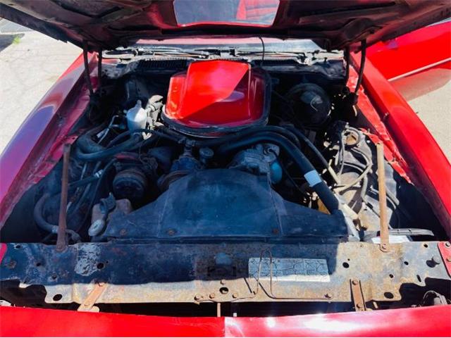 1979 Pontiac Firebird Trans Am (CC-1588018) for sale in Cadillac, Michigan