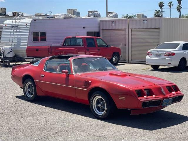1979 Pontiac Firebird Trans Am (CC-1588018) for sale in Cadillac, Michigan