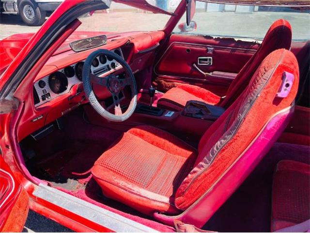 1979 Pontiac Firebird Trans Am (CC-1588018) for sale in Cadillac, Michigan