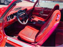 1979 Pontiac Firebird Trans Am (CC-1588018) for sale in Cadillac, Michigan