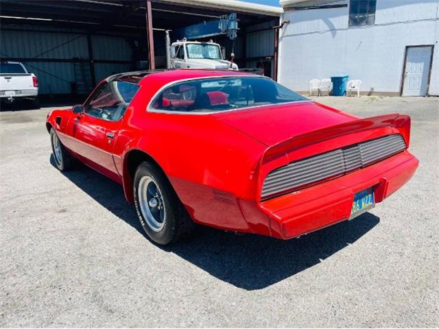 1979 Pontiac Firebird Trans Am (CC-1588018) for sale in Cadillac, Michigan