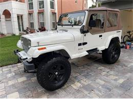 1987 Jeep Wrangler (CC-1580836) for sale in Cadillac, Michigan