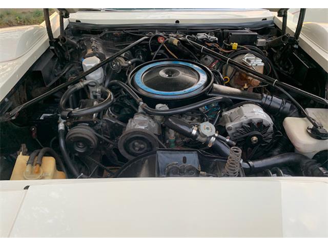 1978 Cadillac Seville (CC-1589307) for sale in Orlando, Florida