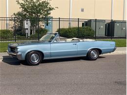 1964 Pontiac GTO (CC-1589550) for sale in Clearwater, Florida