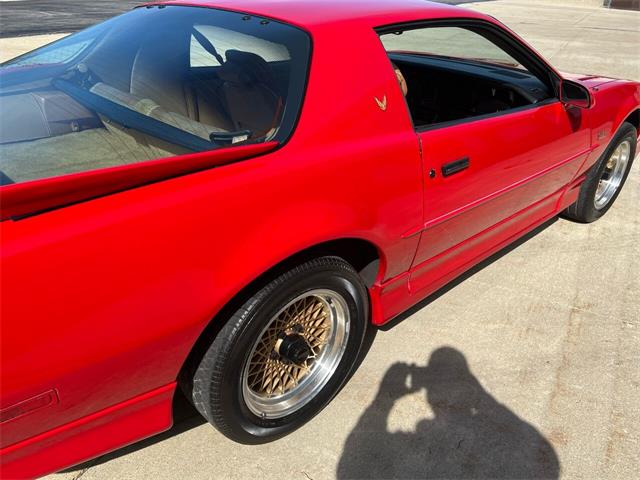1989 Pontiac Firebird Trans Am (CC-1589892) for sale in Addison, Illinois