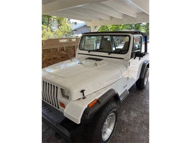 1987 Jeep Wrangler (CC-1591924) for sale in Cadillac, Michigan