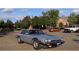 1984 Jaguar XJS (CC-1592052) for sale in San Luis Obispo, California