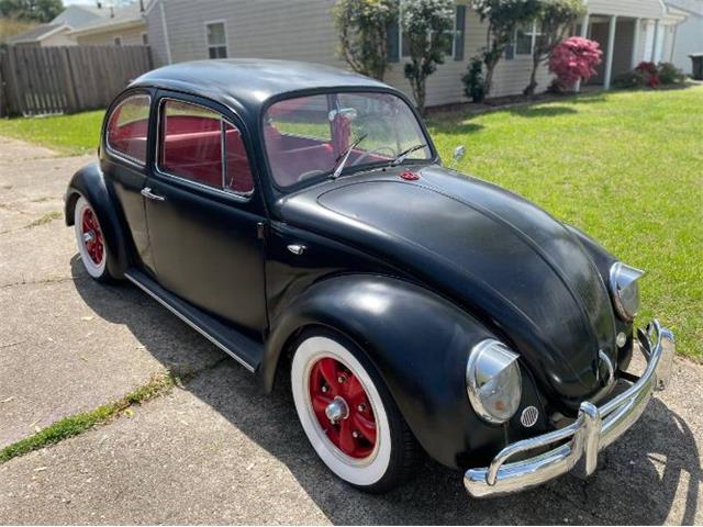 1965 Volkswagen Beetle (CC-1592290) for sale in Cadillac, Michigan