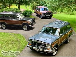 1991 Jeep Grand Wagoneer (CC-1592534) for sale in Bemus Point, New York
