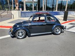 1964 Volkswagen Beetle (CC-1592558) for sale in Newport Beach , California