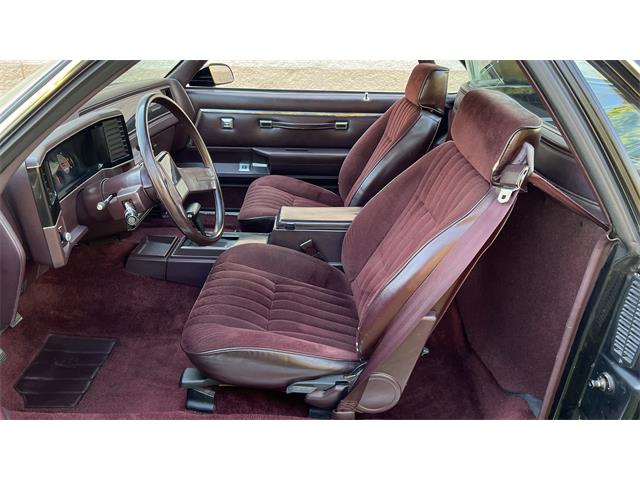 1987 el 2024 camino interior