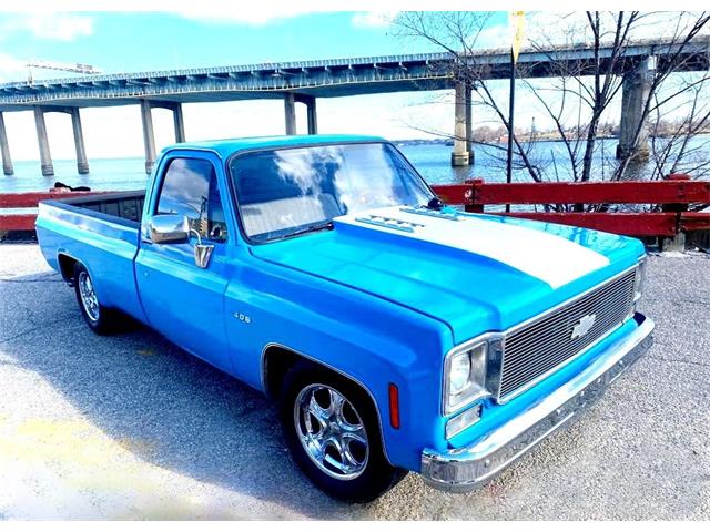 1976 Chevrolet C10 (CC-1593633) for sale in Stratford, New Jersey