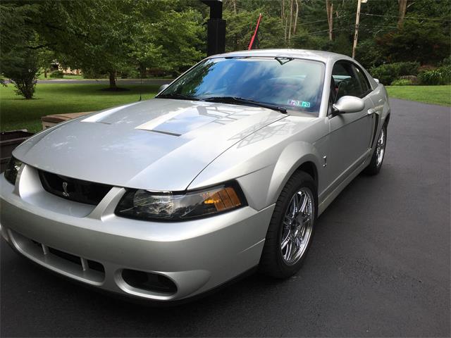 2003 Ford Mustang SVT Cobra (CC-1594080) for sale in Broomall, Pennsylvania