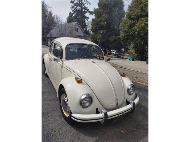 1969 Volkswagen Beetle (CC-1594272) for sale in Cadillac, Michigan