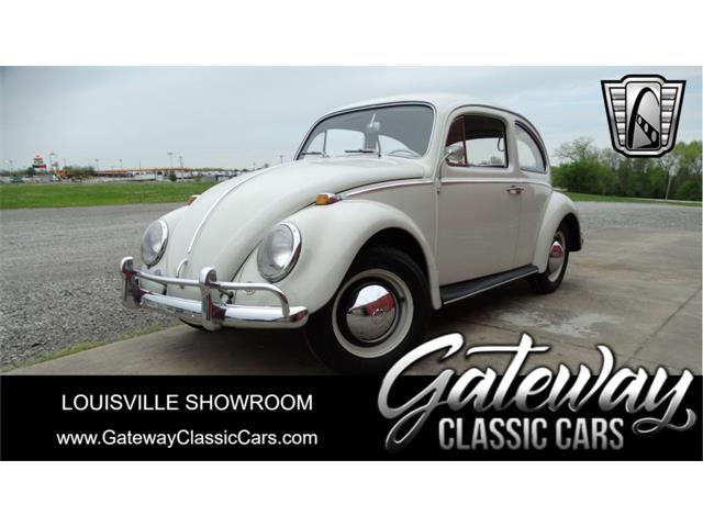 1964 Volkswagen Beetle (CC-1595086) for sale in O'Fallon, Illinois