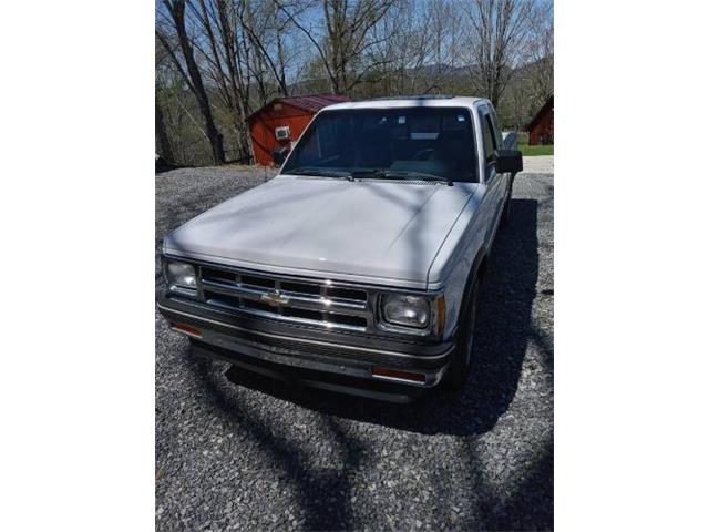 1993 Chevrolet S10 (CC-1595440) for sale in Cadillac, Michigan