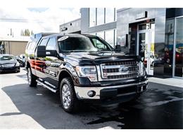2014 Ford F150 (CC-1596092) for sale in Bellingham, Washington