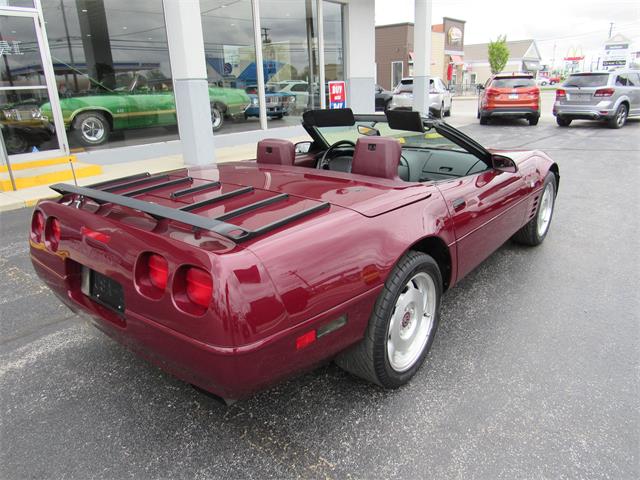 1993 Chevrolet Corvette (CC-1596258) for sale in Tiffin, Ohio