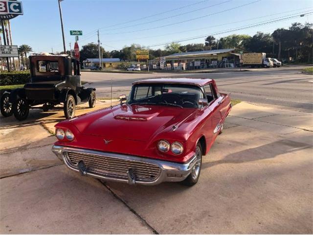 1959 Ford Thunderbird (CC-1590644) for sale in Cadillac, Michigan