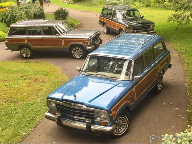 1989 Jeep Grand Wagoneer (CC-1596577) for sale in BEMUS POINT, New York
