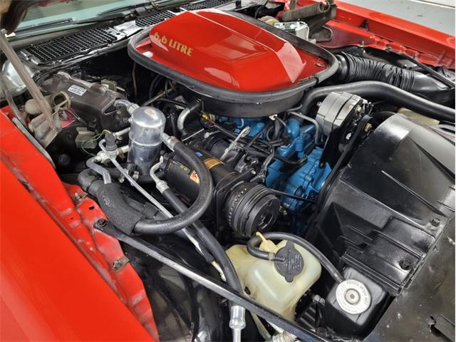 1977 Pontiac Firebird Trans Am for Sale | ClassicCars.com | CC-1596792