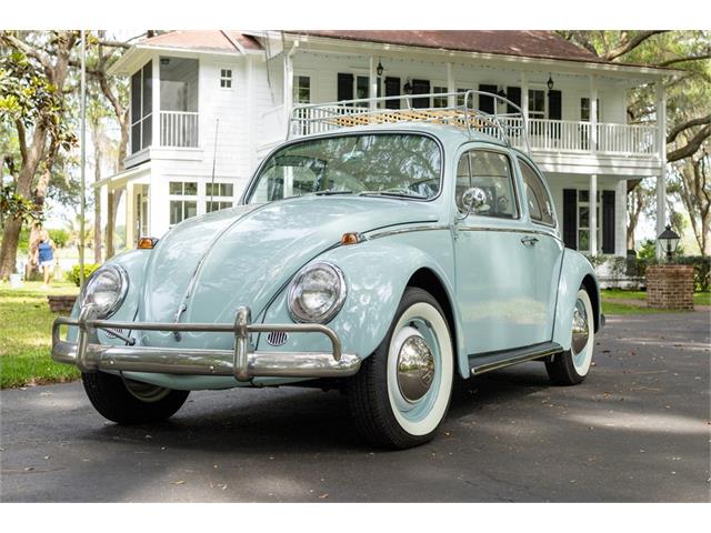 1965 Volkswagen Beetle (CC-1596999) for sale in Umatilla, Florida