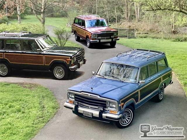 1988 Jeep Grand Wagoneer (CC-1597419) for sale in Bemus Point , New York