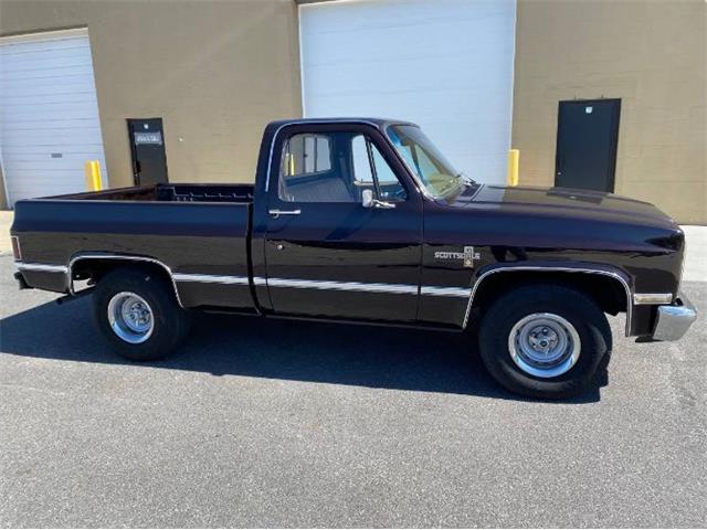 1981 Chevrolet C10 (CC-1597695) for sale in Cadillac, Michigan