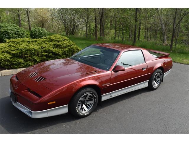 1987 Pontiac Firebird (CC-1597836) for sale in Elkhart, Indiana